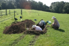 Excavation 3